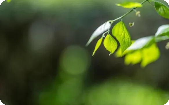 D2C Brand case study